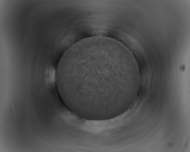 X0000103950041200809261758