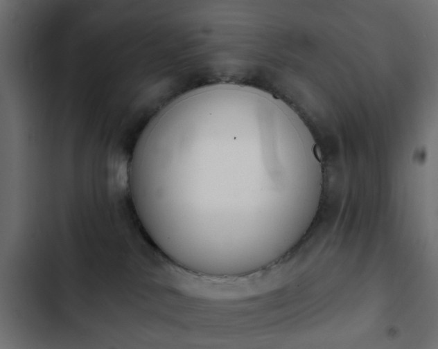 X0000103950042200809261758