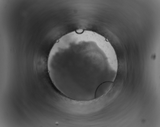 X0000103950043200809261758