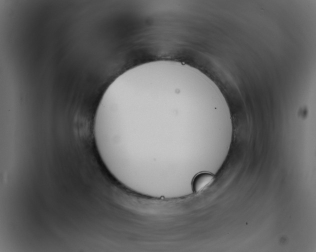 X0000103950044200809261758