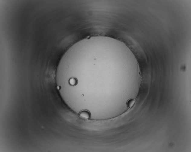 X0000103950045200809261758