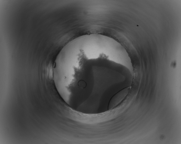 X0000103950046200809261758