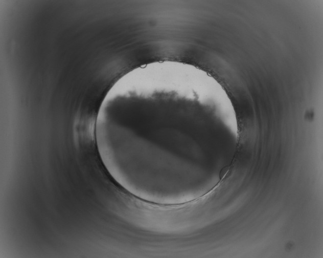 X0000103950047200809261758