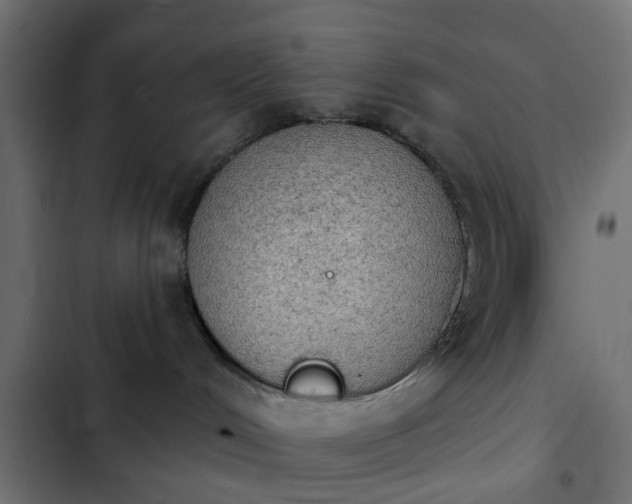 X0000103950048200809261758