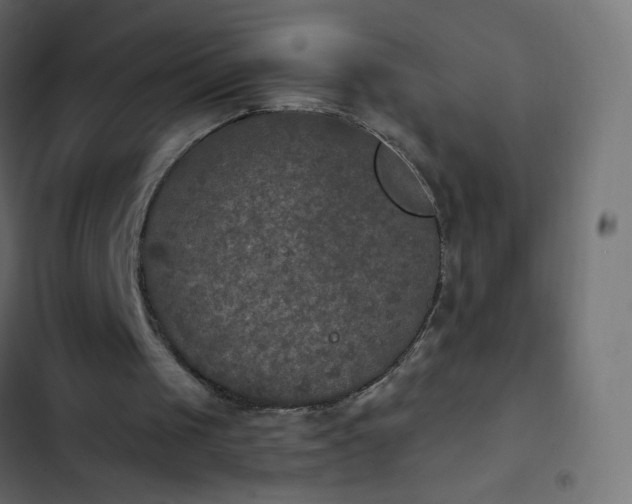 X0000103950049200809261757