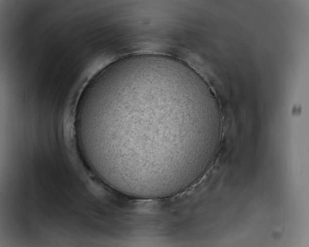 X0000103950050200809261757