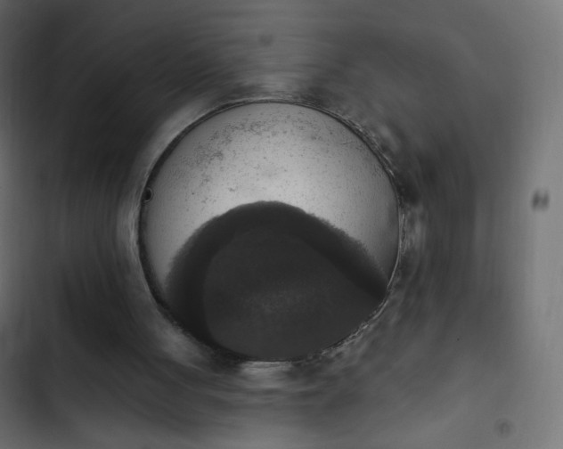 X0000103950051200809261757