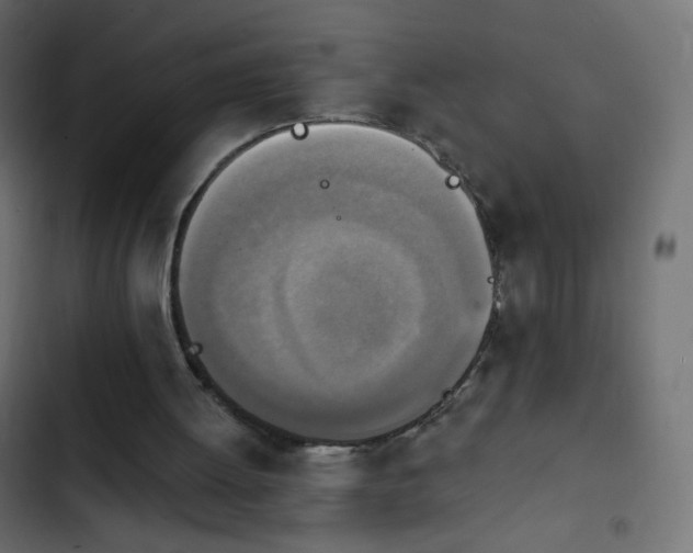 X0000103950052200809261757