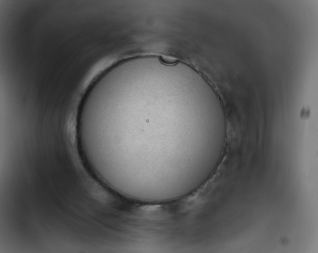 X0000103950054200809261757