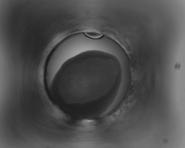 X0000103950055200809261757