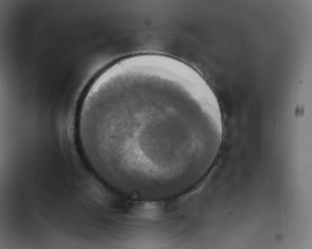 X0000103950056200809261757