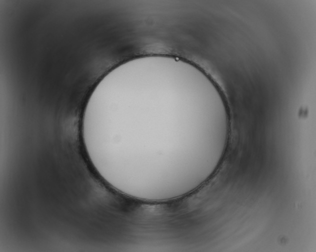 X0000103950057200809261757