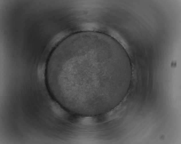 X0000103950058200809261757