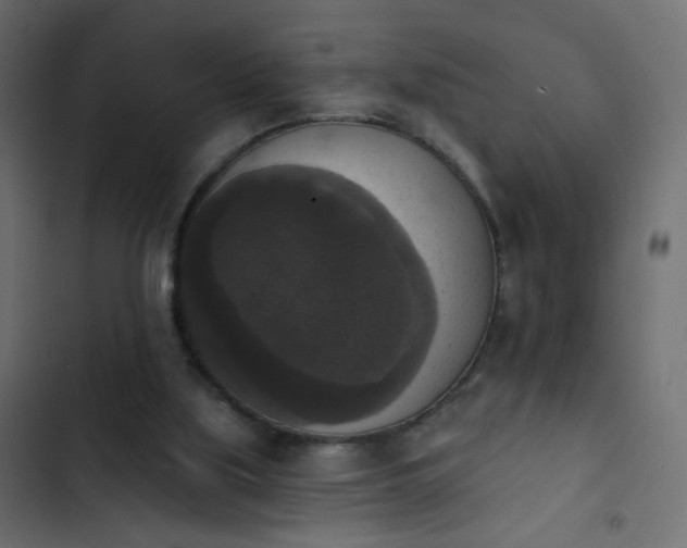 X0000103950059200809261757