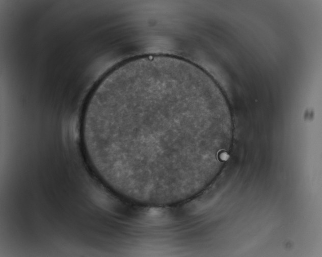 X0000103950060200809261757