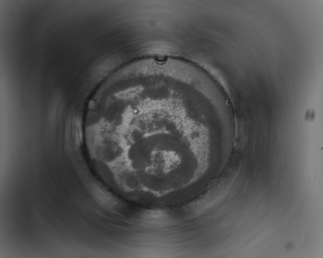 X0000103950061200809261757