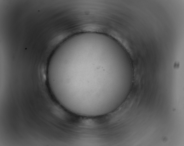 X0000103950062200809261757