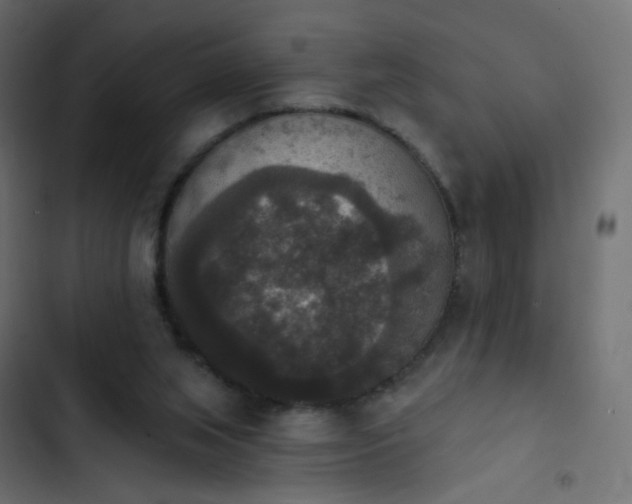 X0000103950063200809261757