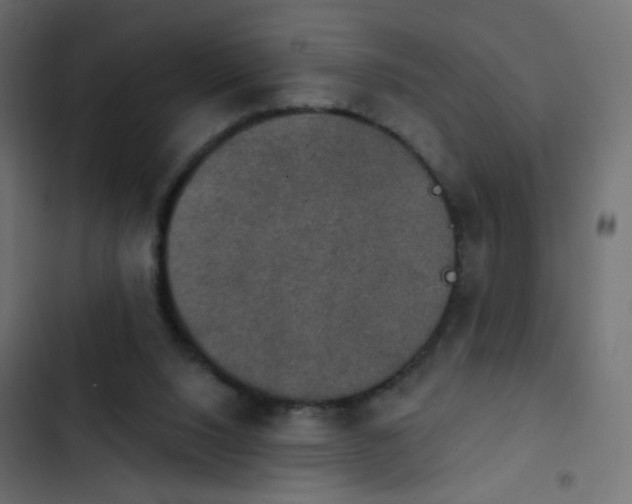 X0000103950064200809261757