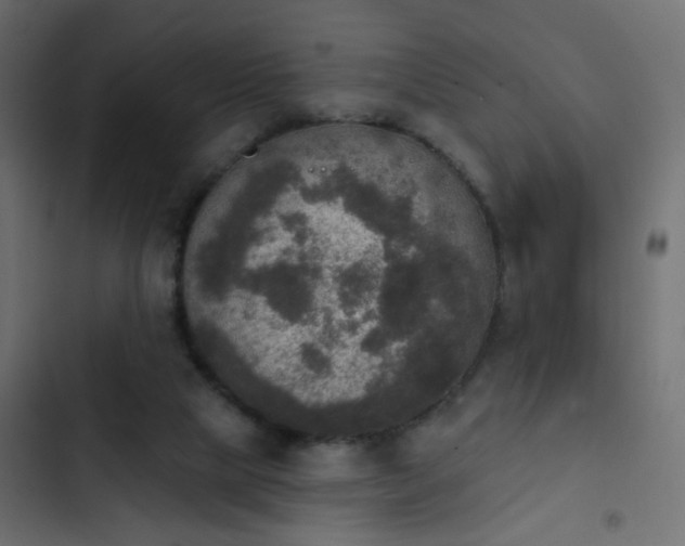 X0000103950065200809261757