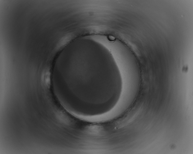 X0000103950067200809261757