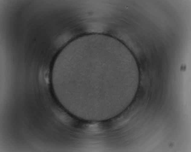 X0000103950068200809261757