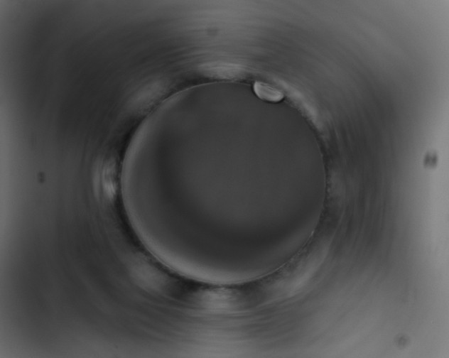 X0000103950069200809261757