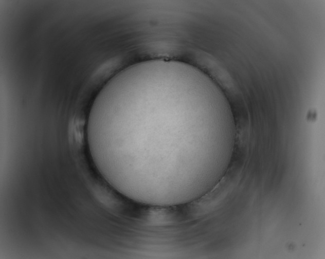 X0000103950070200809261757