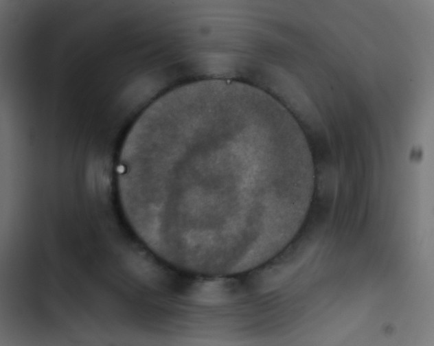 X0000103950072200809261757