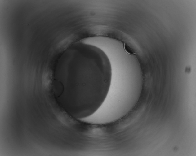 X0000103950073200809261757