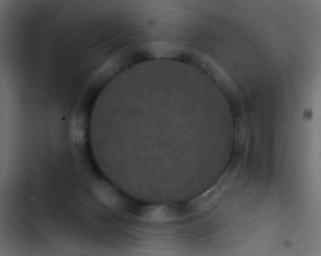 X0000103950074200809261757