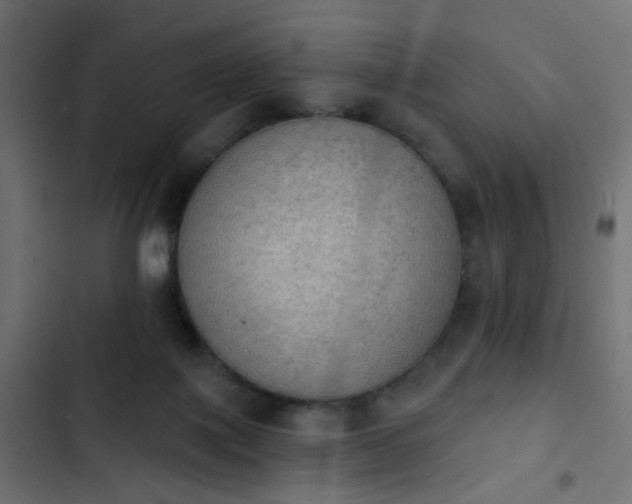 X0000103950075200809261757