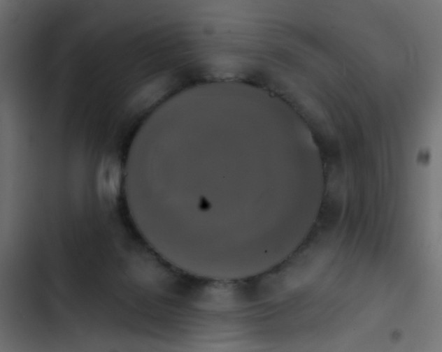 X0000103950076200809261757