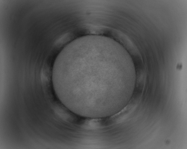 X0000103950078200809261757