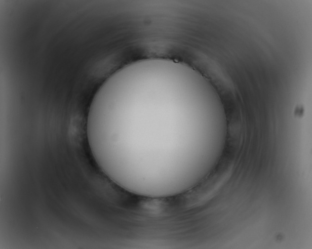 X0000103950079200809261757