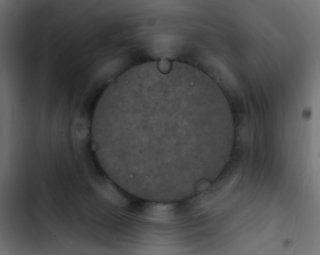 X0000103950081200809261757