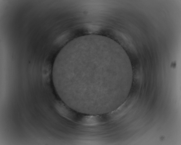 X0000103950082200809261757