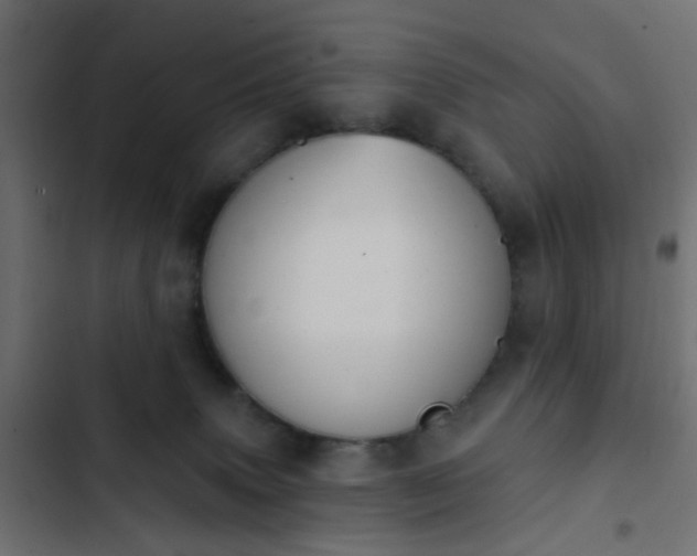 X0000103950083200809261757