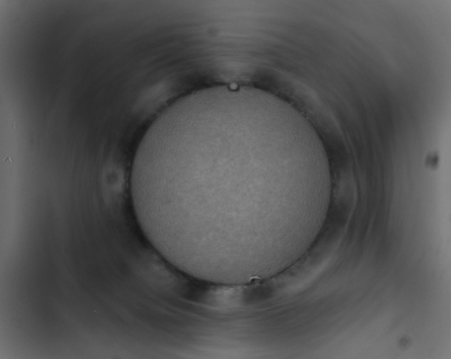 X0000103950084200809261757