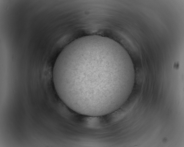 X0000103950085200809261757