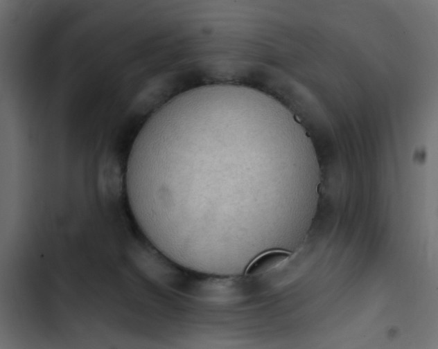 X0000103950086200809261757