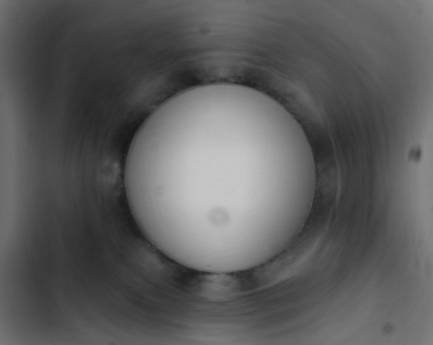 X0000103950087200809261757