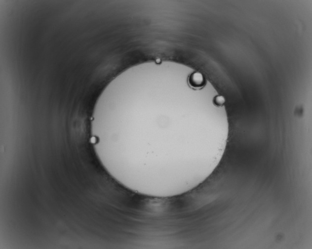 X0000103950088200809261757