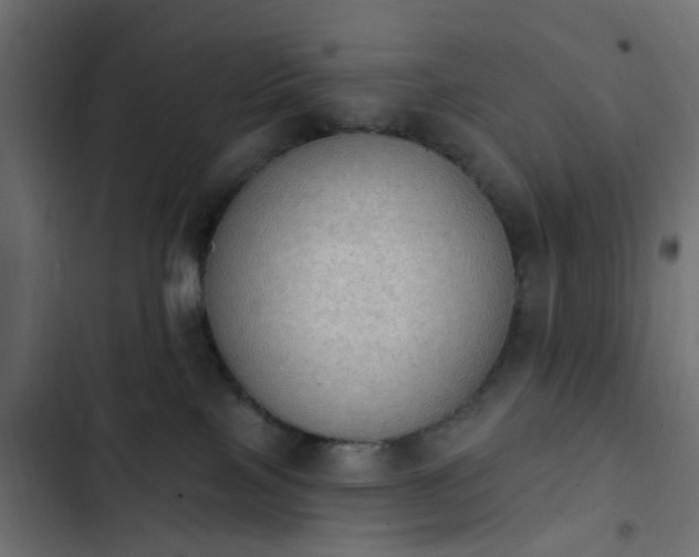 X0000103950089200809261758