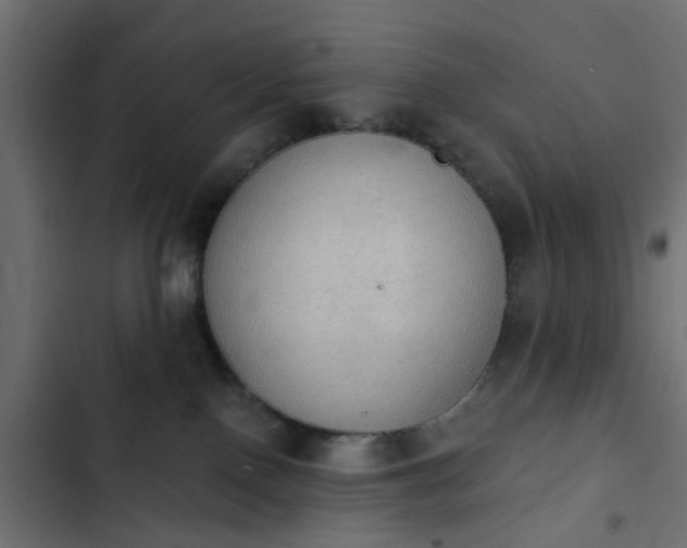 X0000103950090200809261758