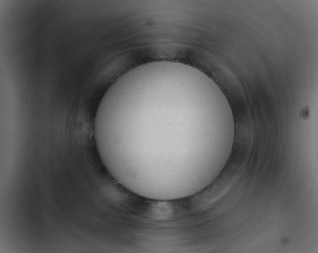 X0000103950091200809261758