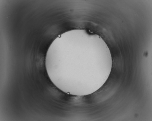 X0000103950092200809261758