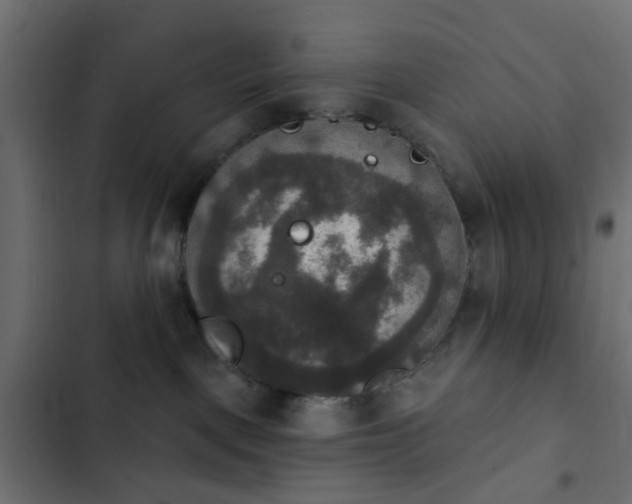 X0000103950093200809261758