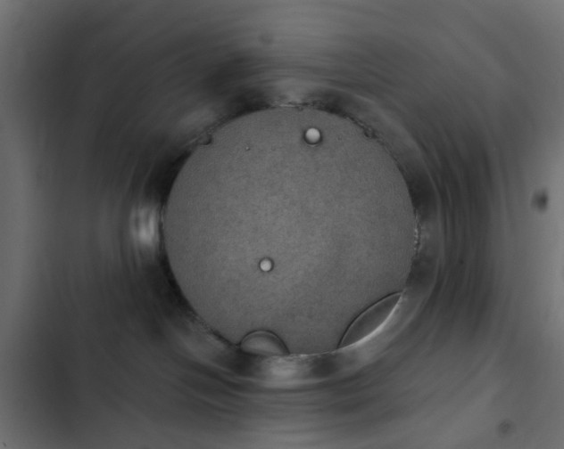 X0000103950094200809261758