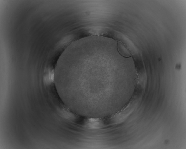 X0000103950095200809261758